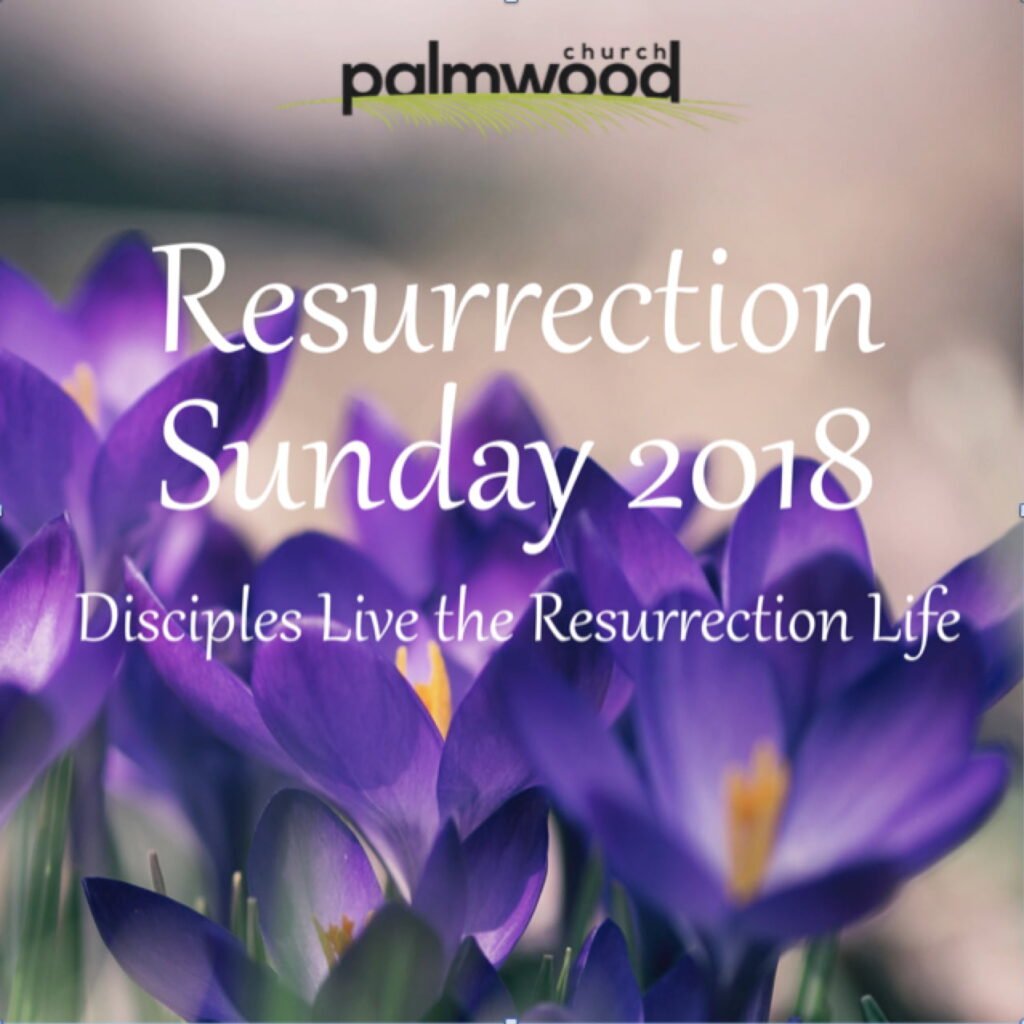 Disciples Live the Resurrection Life