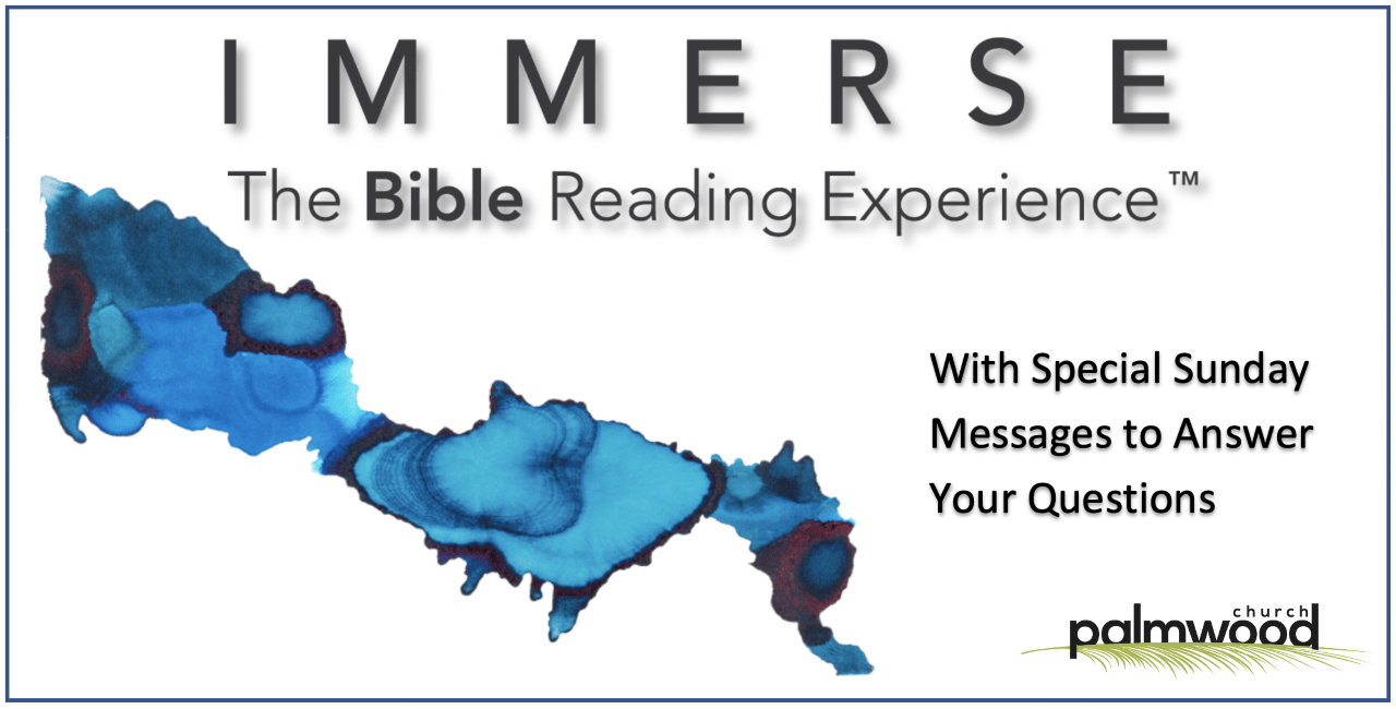 Immerse Bible Reading Experience -- Importance of Studying in Community